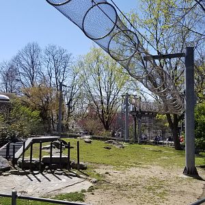 Philly - 360 trail over tortoise yard