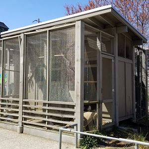 Philly - Pigeon house