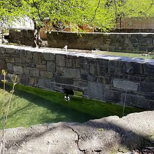 Philly - Duck "tunnel"