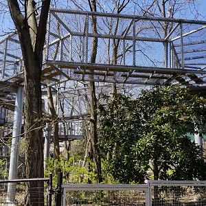 Philly - 360 trails, gorilla with big cat under