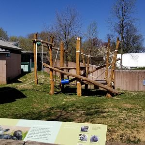 Philly - Gorilla yard