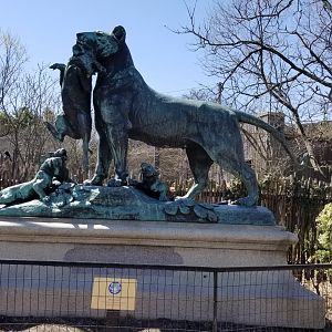 Philly - Lion statue area being renovated