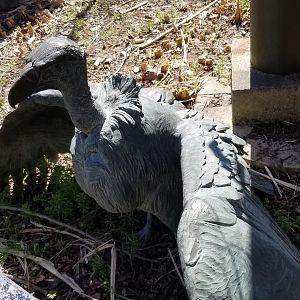 Philly - Big Cat Falls statue #2, condor