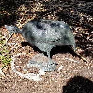 Philly - Big Cat Falls statue #3, guineafowl