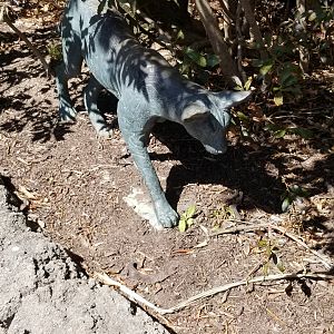 Philly - Big Cat Falls statue #4, serval