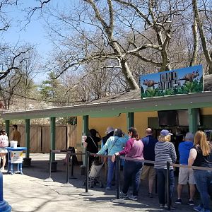 Philly - Dino Bites eating area