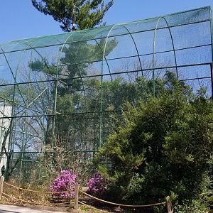 Philly - Flight cage by aviary