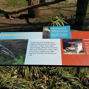Philly - Hornbill sign