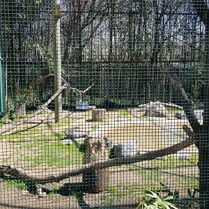 Philly - Southern ground hornbill with glove