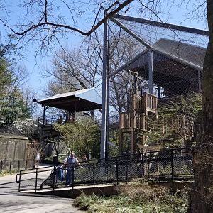 Philly - Spider monkeys, kids area
