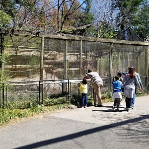 Philly - Turkey vulture exhibit
