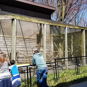 Philly - Turkey vulture exhibit
