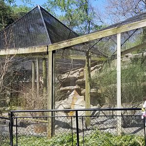Philly - Turkey vulture exhibit