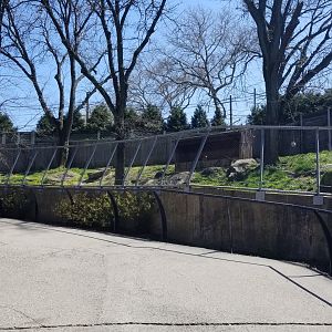 Philly - Cheetah exhibit