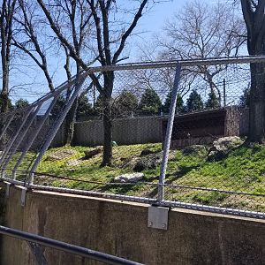 Philly - Cheetah exhibit