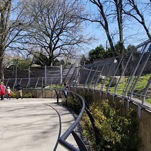 Philly - Cheetah exhibit