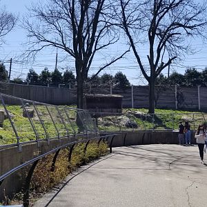 Philly - Cheetah exhibit