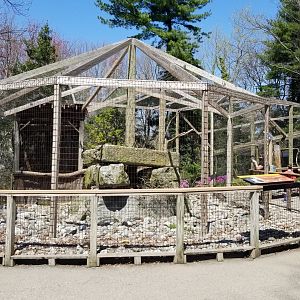 Philly - Bald eagles