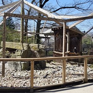 Philly - Bald eagles