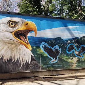 Philly - Birds of prey mural