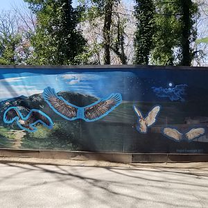 Philly - Birds of prey mural
