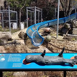 Philly - Giant otter sculpture #1