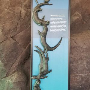 Philly - Giant otter sculpture #2