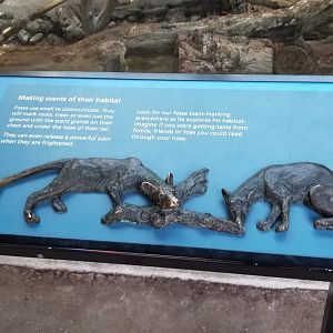 Philly - Fossa sculpture