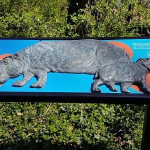 Philly - Hippo sculpture