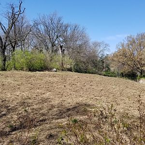 Philly - Left end of The Phase