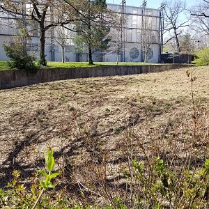 Philly - Left end of The Phase