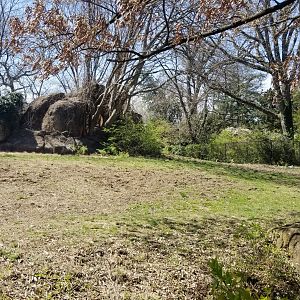 Philly - Right end of The Phase, RRH, Mhorr gazelle, white storks visible