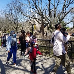 Philly - Crowd for rhino