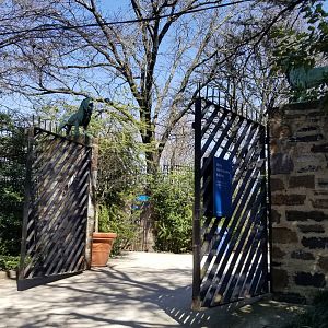 Philly - Lions above gate to administrative building