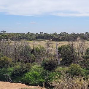 View over the main Savanah from outside the Zoo