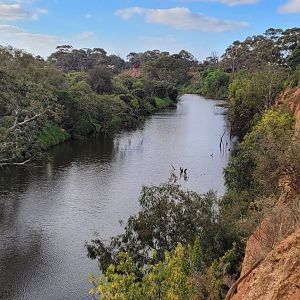 View over the main Savanah from outside the Zoo