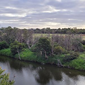 View over the main Savanah from outside the Zoo