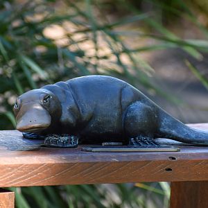 Platypus Statue