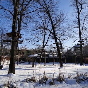 Maned wolf / howler monkey enclosure