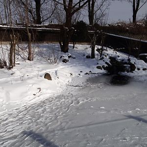 European otter enclosure