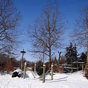 Gorilla and colobus enclosure