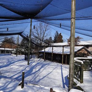 Flamingo enclosure