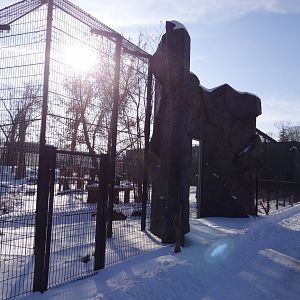 Tiger enclosure under construction