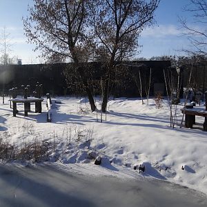 Tiger enclosure under construction