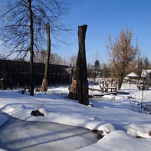 Tiger enclosure under construction