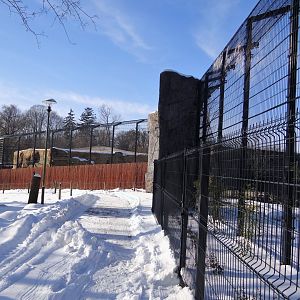 Tiger (and lion) enclosure under construction