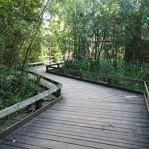 Walking bridge over and through marshy zone in the raptor area, 2020-09-12