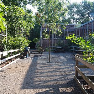 View in the raptor area, 2020-09-12