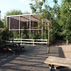 View in the raptor area, 2020-09-12