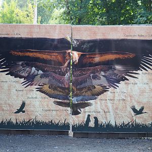 Raptor and vulture wingspan sign on gate - With a big mistake, 2020-09-12